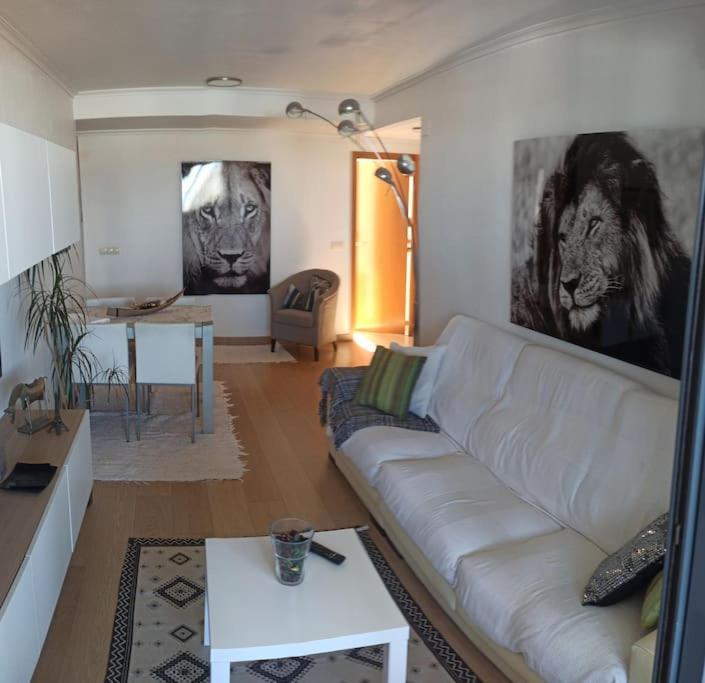 Appartement Atico En Paiporta Con 2 Grandes Terrazas